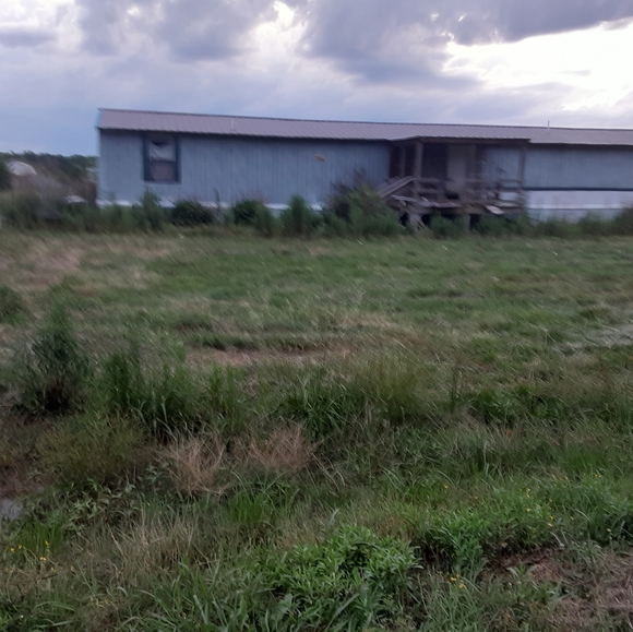 Meet your Posher, Steve - Picture 3 of 7